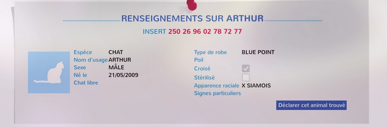 Pasted image 20260311081240